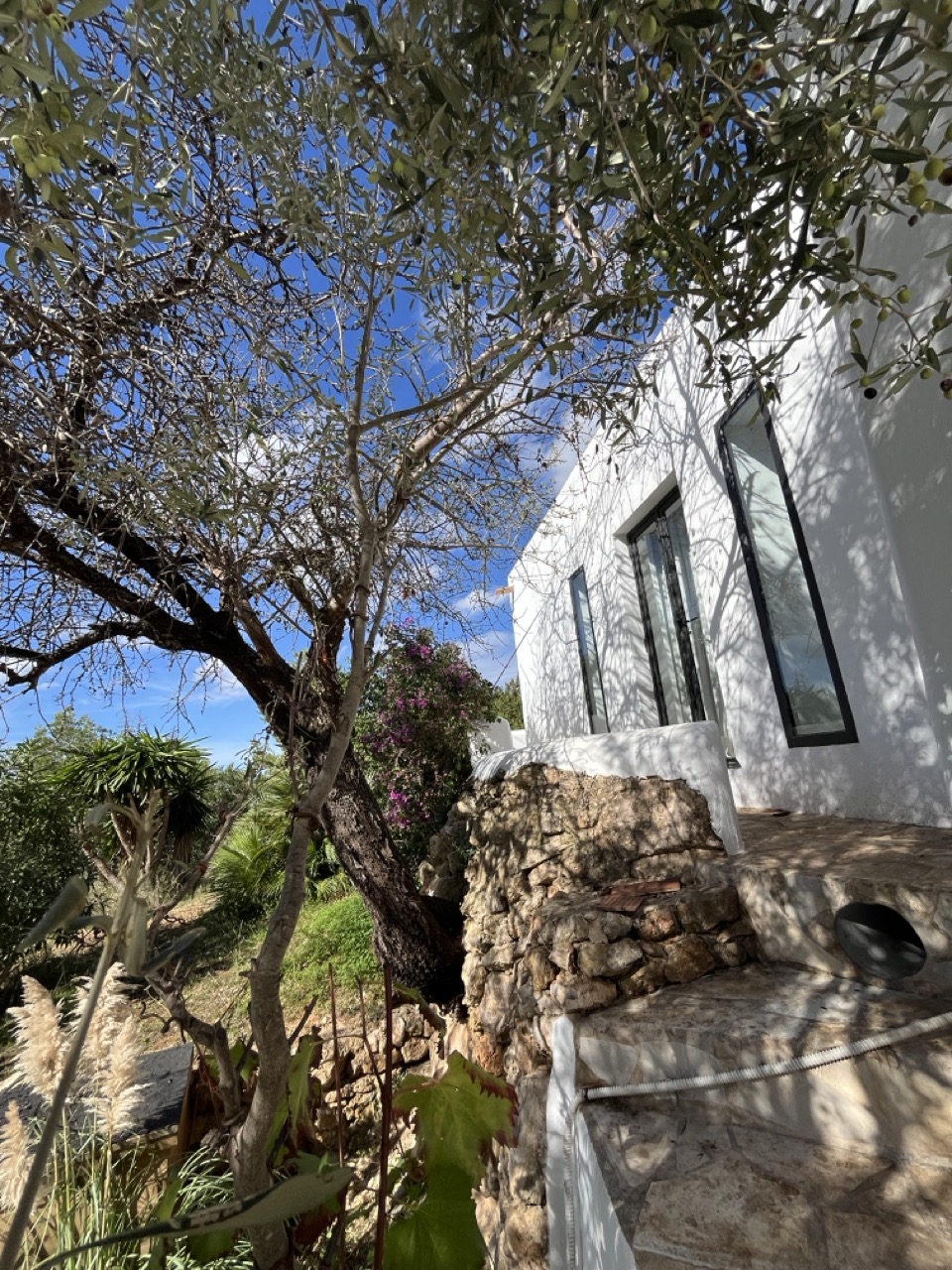 zijkant boom huis.jpeg